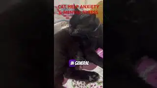 CATS HELP ANXIETY & MENTAL STRESS #pet #cat #catlover #trending #catvideos #moonlight #shorts #me
