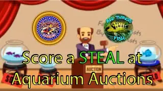 Aquarium Auctions with Tom from Skipper's Aquariums!