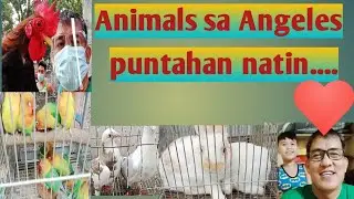 Pasyalan natin tyanggean sa ANGELES Pampanga.
