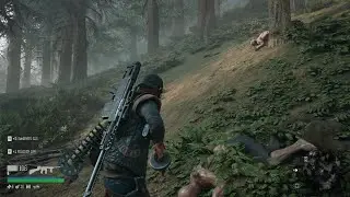 Days Gone - Proxy Falls Horde (PS5)