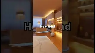 The 