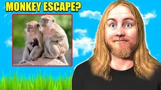 MONKEY ESCAPE IN SOUTH CAROLINA???