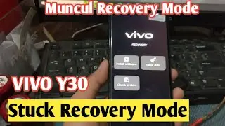 Vivo Y30 Stuck Recovery Mode