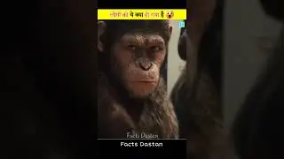 Animals Took Revenge On Humans