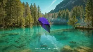 Peakasso ft. Silpro - Vibes