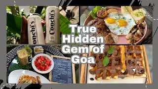 This Hidden Cafe in Colva Goa Is a Must Visit | Conchis Cafe Goa ☕🌴