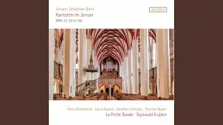 Alles nur nach Gottes Willen, BWV 72: No. 1, Alles nur nach Gottes Willen