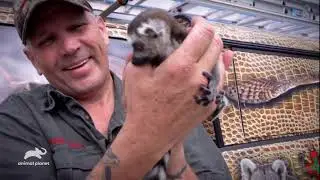 Animal Planet Barehands Rescue