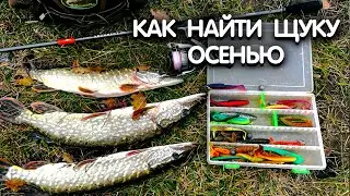 В чем СЕКРЕТ этого ПРУДА с ЩУКОЙ? КАК поймать щуку на джиг осенью. Рыбалка на джиг с берега