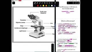Biology Practical lec 1 Microscope 