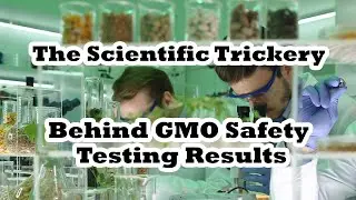 The Scientific Trickery Behind GMO Safety Testing Results - By Author Steve Druker