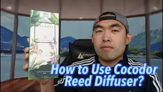 Cocodor Lavender Little Forest Reed Diffuser Review!