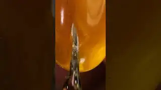 Softgel and Syringe Needle
