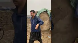 Haji Sayed Ahmad Selab helping whit people