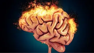 DEEP INTELLIGENCE | Focus Waves | Memory And Learning | Accelerated Concentration | Music For Study