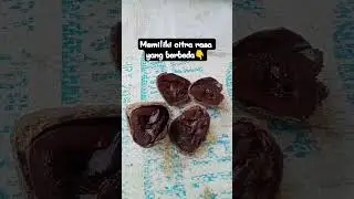 #kluwek #rawon #klewek #kepayang #picung