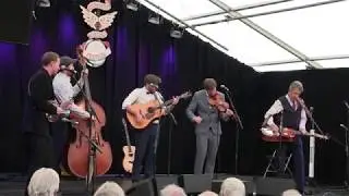 The Lowly Strung. Didmarton Bluegrass Festival 2019