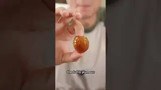 1 YEAR UNTOUCHED PLUM SYRUP