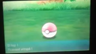 Picassaut shiny!!!!