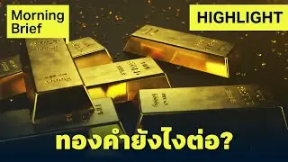ทองคำ $5,000 ทุบสถิติ! นักลงทุน 'ตื่นทอง' ทั่วโลก | Finnomena Focus