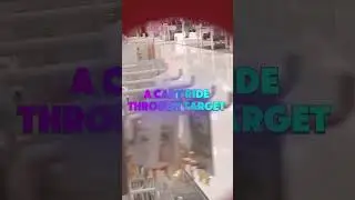 A cartride through target