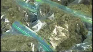 Drug Bust: Heflin