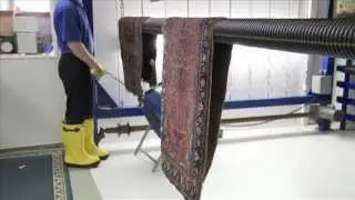 Area Rug Cleaning Company | Ann Arbor, MI | Pet Odors and How We Stop Them