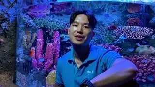 World Conservation Day