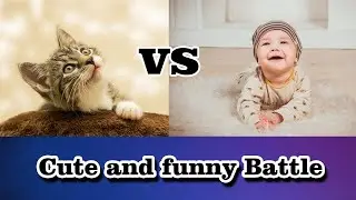 Cute and Funny Endless Battles Between Cat vs Baby | Top Cat Videos
