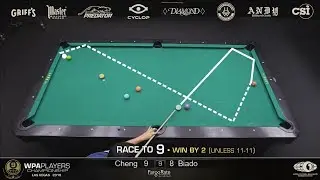 Top 16 Shots | WPA Players Championship 2019 (9 Ball Pool)