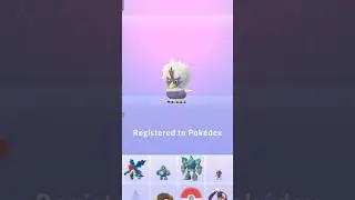 Caught Wild Rufflet #shorts #trending #viral #pokemongo #hundopokemon #rufflet