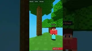 Bro Cooked 💀 #minecraft #bloxd #owner #virlshorts #memes !