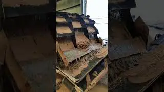 Bucket sand washing machine sand washing site #Afghanistan #Iran #Philippines #equipment #quarry