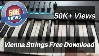 Small bit Vienna Strings #krupakshemamu