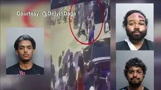 Video shows 4 people fighting with law enforcement and police fighting back