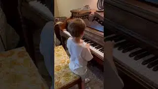 Heart and Soul - Declan the Super Cat #declanthesupercat #heartandsoul #hoagycarmichael #moviebig