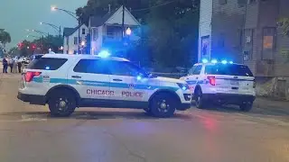 3-year-old girl critically injured in West Englewood shooting