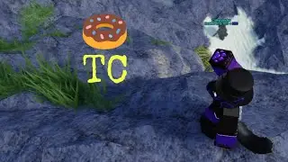 The.. Donut TC?