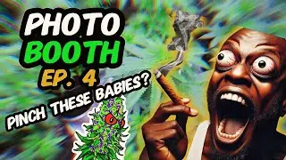 Фотобудка, 10 сезон, 4 серия | Ущипните девушек! 😭👶 | Выращивание 20 растений 🌱
