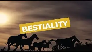 Bestiality | Sydney Criminal Lawyers&reg;