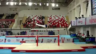 2nd FIG Artistic Gymnastics Junior World Championships. PB ALTARAC Viggo (SWE)
