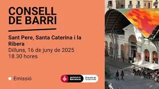 Consell de Barri del Casc Antic, dilluns 16 de juny de 2025