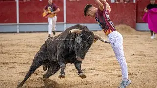 CONCURSO DE RECORTES VELILLA DE SAN ANTONIO  2024 (MADRID)