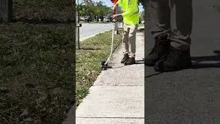 Sidewalk Gets Satisfying EDGE | QUICK MOW | Time Lapse #lawncare #mowing #edging