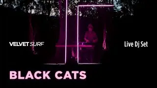 Thaddeus X - Black Cats - Electronic Folk Live Dj Set
