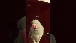 Jis per moji naz ta