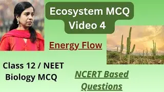 ECOSYSTEM MCQ / Part 4 / Energy Flow / NEET 2026