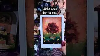 Let go of anything that doesn't belong to the person you are becoming  #tarot #tarotreading