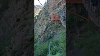 My summer job 2019