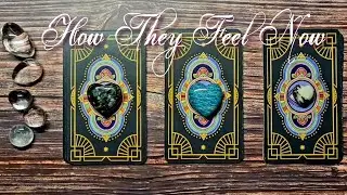 How They Feel Now 💖 Timeless Pick A Card Reading 